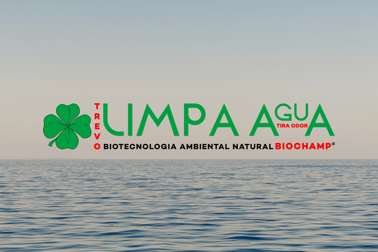 limpa-agua-meio-ambiente-limpar-rios-marginal-01